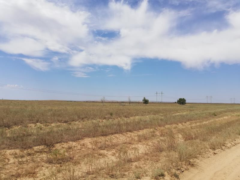 Земельный участок, общей площадью 363,24 га, кадастровый номер 03:045:243:028